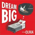 Cover image for Dream Big