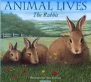 Cover image for The Rabbit (Animal Lives)