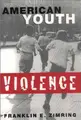 Cover image for American youth violence