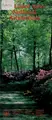 Cover image for The United States National Arboretum