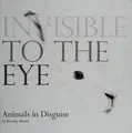 Cover image for Invisible to the eye
