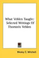 Cover image for What Veblen Taught