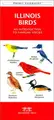 Cover image for Illinois Birds