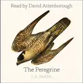 Cover image for The Peregrine