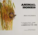 Cover image for Animal homes