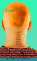 Cover image for Feed