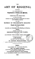Cover image for The art of rigging