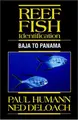 Cover image for Reef Fish Identification
