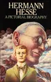 Cover image for Hermann Hesse