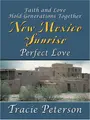 Cover image for Perfect Love