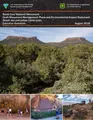 Cover image for Bears Ears National Monument