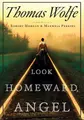 Cover image for Look homeward, angel