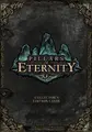 Cover image for Pillars of Eternity