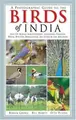Cover image for A Photographic Guide to the Birds of India
