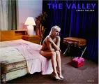Cover image for The Valley