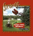 Cover image for Strange Wisconsin