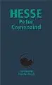 Cover image for Peter Camenzind. Sonderausgabe.