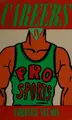 Cover image for Careers in pro sports