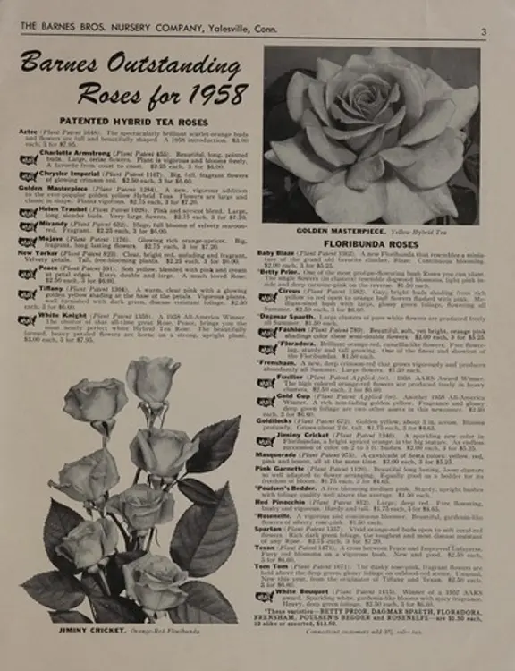 Catalog for spring 1958 cover