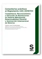 Cover image for Comentarios prácticos al Reglamento  2019/1111