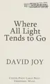 Cover image for Where all light tends to go