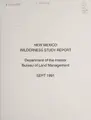 Cover image for New Mexico wilderness study report