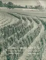 Cover image for Wholesale catalog