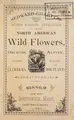 Cover image for Edward Gillett's ninth annual catalogue of North American wild flowers, orchids, alpine, shrubs, aquatic, climbers and bog plants rare ferns, etc. for 1886