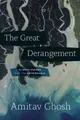 Cover image for The Great Derangement