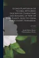 Cover image for Icones Plantarum or Figures, with Brief Descriptive Characters and Remarks, of New or Rare Plants, Selected from the Author's Herbarium. ; V. 20 (1891)