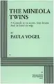 Cover image for The Mineola twins